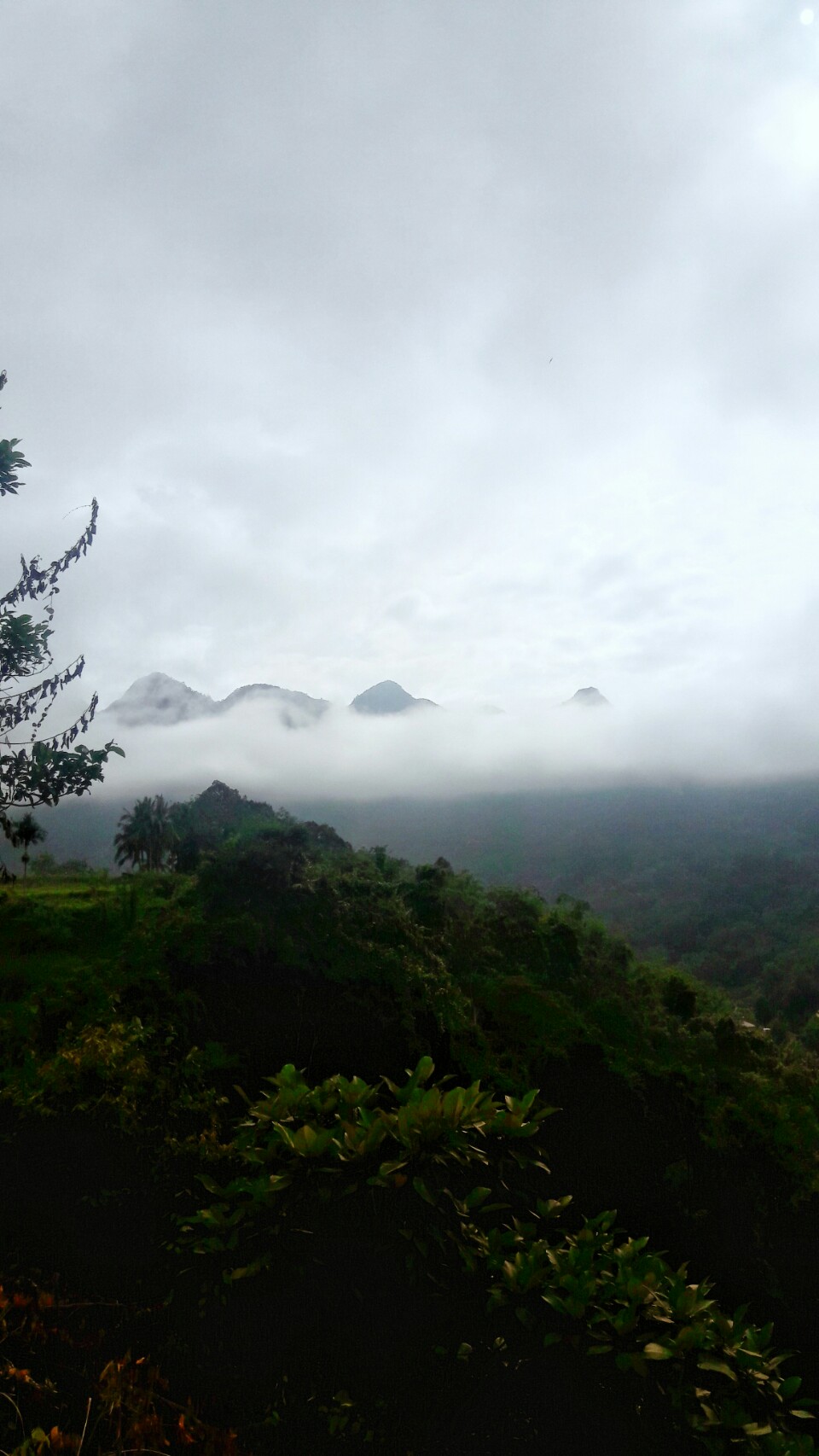 Embun Pagi di Lintau