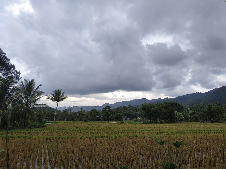Lintau Buo, Kecamatan yang dikelilingi oleh Gunung yang Menjulang