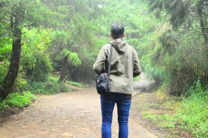 Jalan menuju Puncak Sikunir Dieng Wonosobo