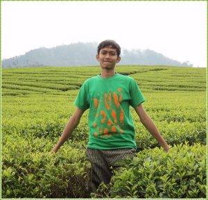 Kebun Teh Solok