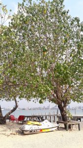 Welcome to Pulau Khayangan Makassar
