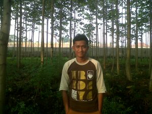 Kebun Jati di Cimahi