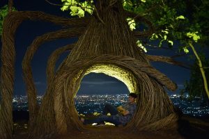 Pinus Pengger Yogyakarta
