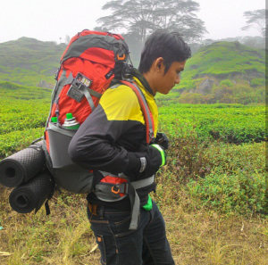 Kebun Teh Alahan Panjang