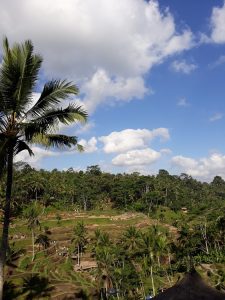 Tegalalang Rice Terrace UbudTegalalang Rice Terrace Ubud