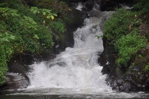 How clean this water