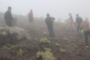 Suasana Kabut di Puncak Marapi