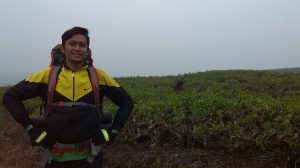 Kebun Teh Alahan Panjang