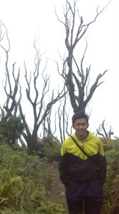 Hutan Mati Gunung Talang Sumatra Barat