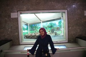 Inside Monas